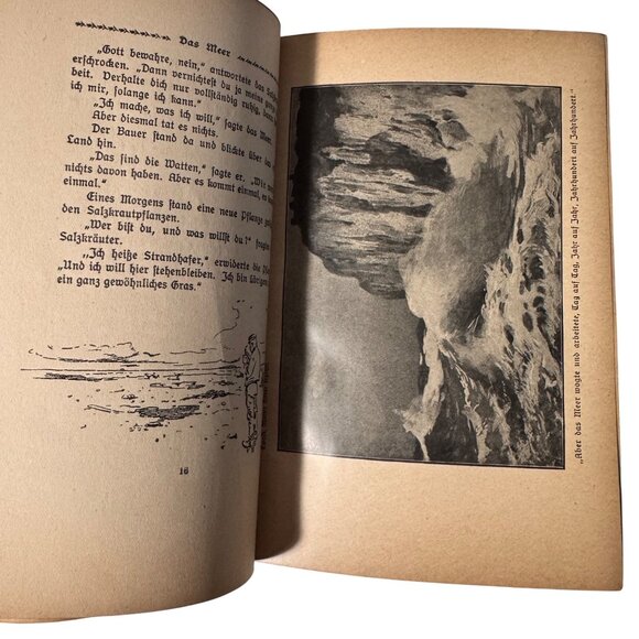 "Mother Nature Tells" By Karl Ewald Hardcover Book German Mutter Natur Erzählt - Picture 8 of 16